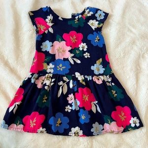 Gymboree 12-18M Floral Dress